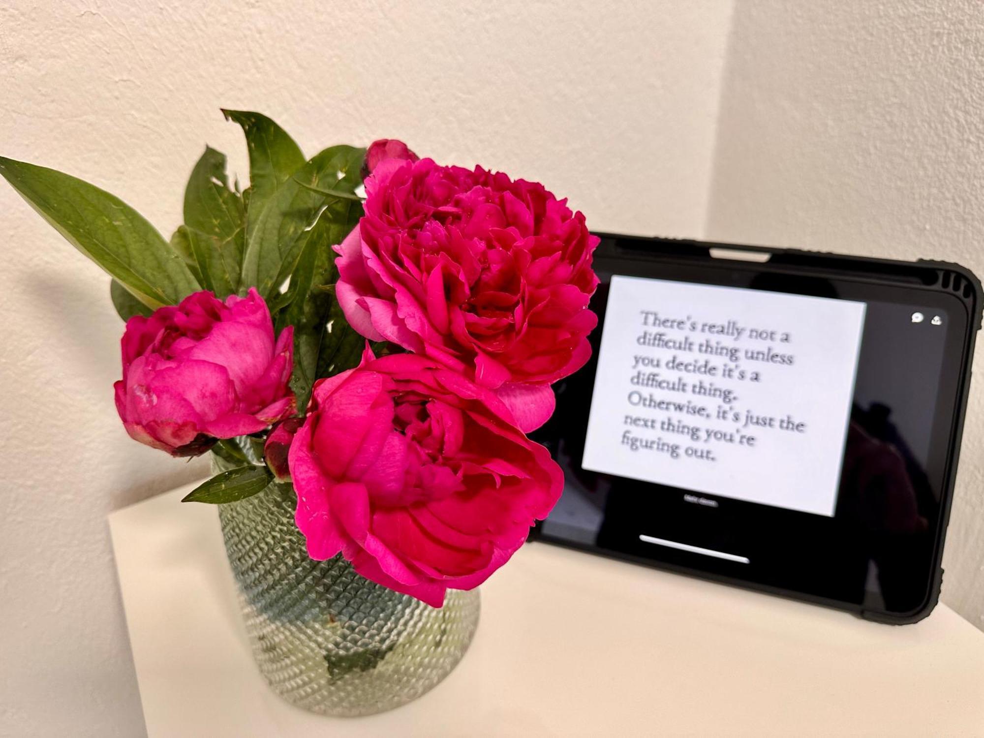 Schottwien Schoene Ferienwohnung מראה חיצוני תמונה