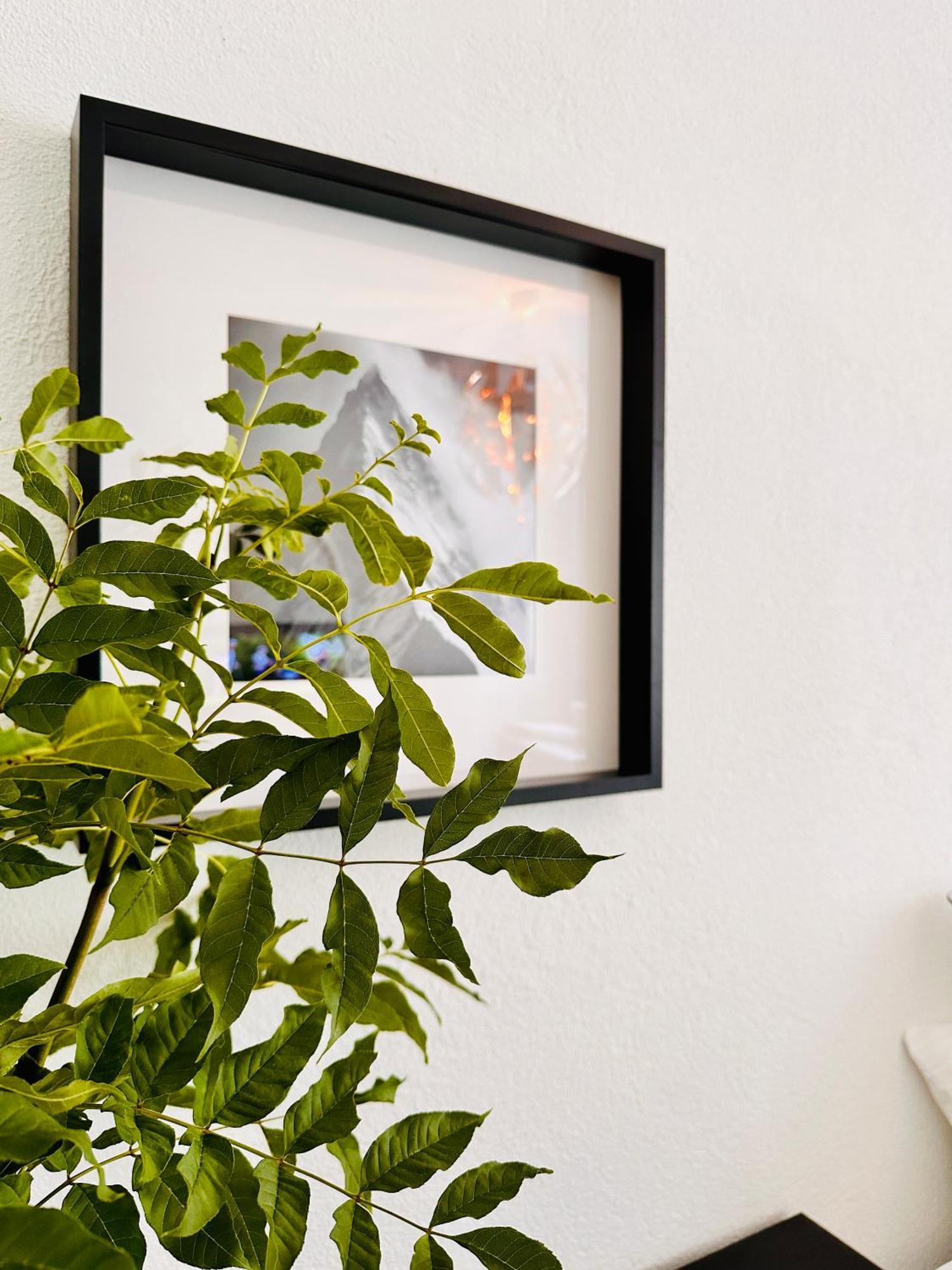 Schottwien Schoene Ferienwohnung מראה חיצוני תמונה